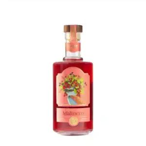 Colorful fruit-flavored rakija featuring vibrant label art for authentic Slovenian brand.